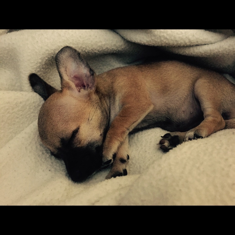 Meet your Posher, Marie